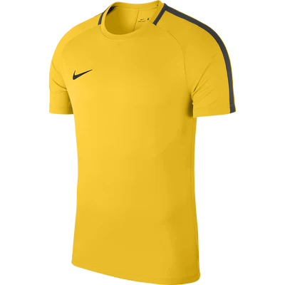 Academy 18 Training Top - Image 3