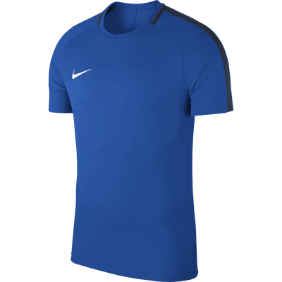 Academy 18 Training Top - Image 4